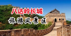 草逼高潮免费视频网站中国北京-八达岭长城旅游风景区